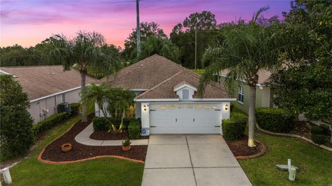 3009 BANYAN HILL LANE LAND O LAKES FL 34639
