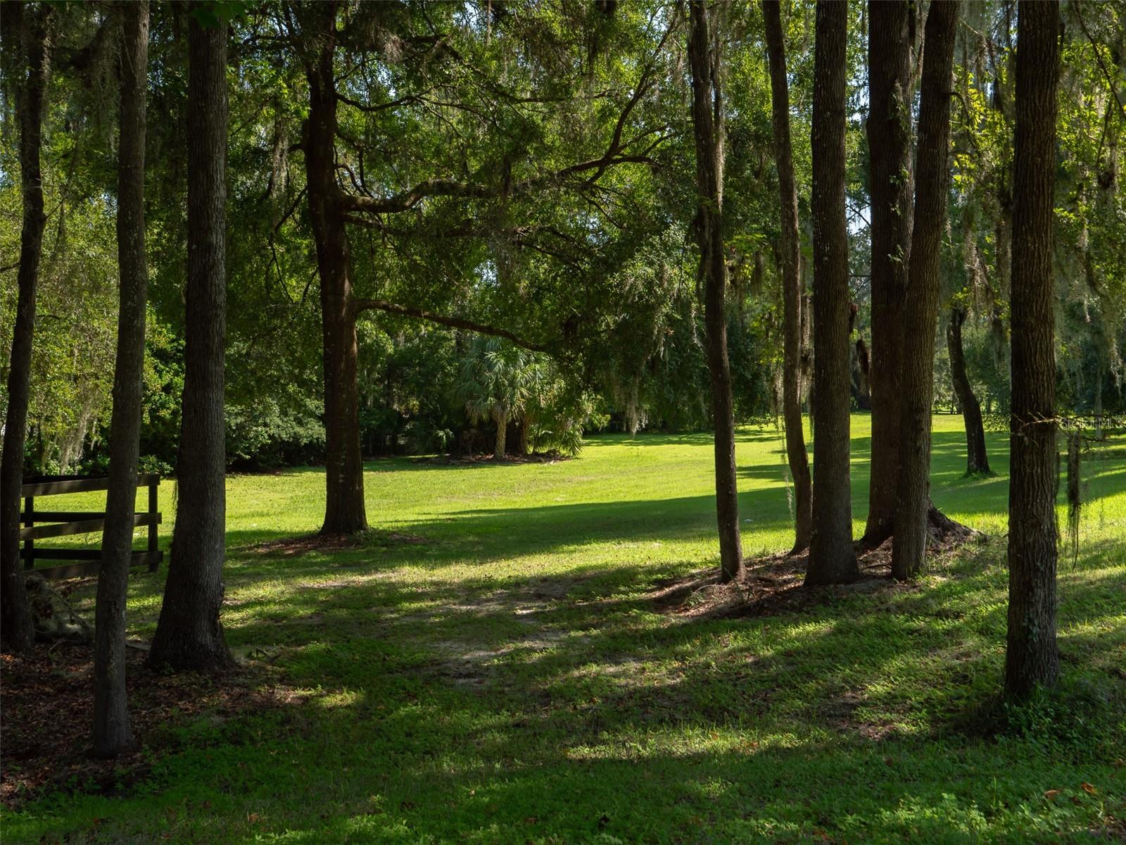 CEDAR CREEK - Residential