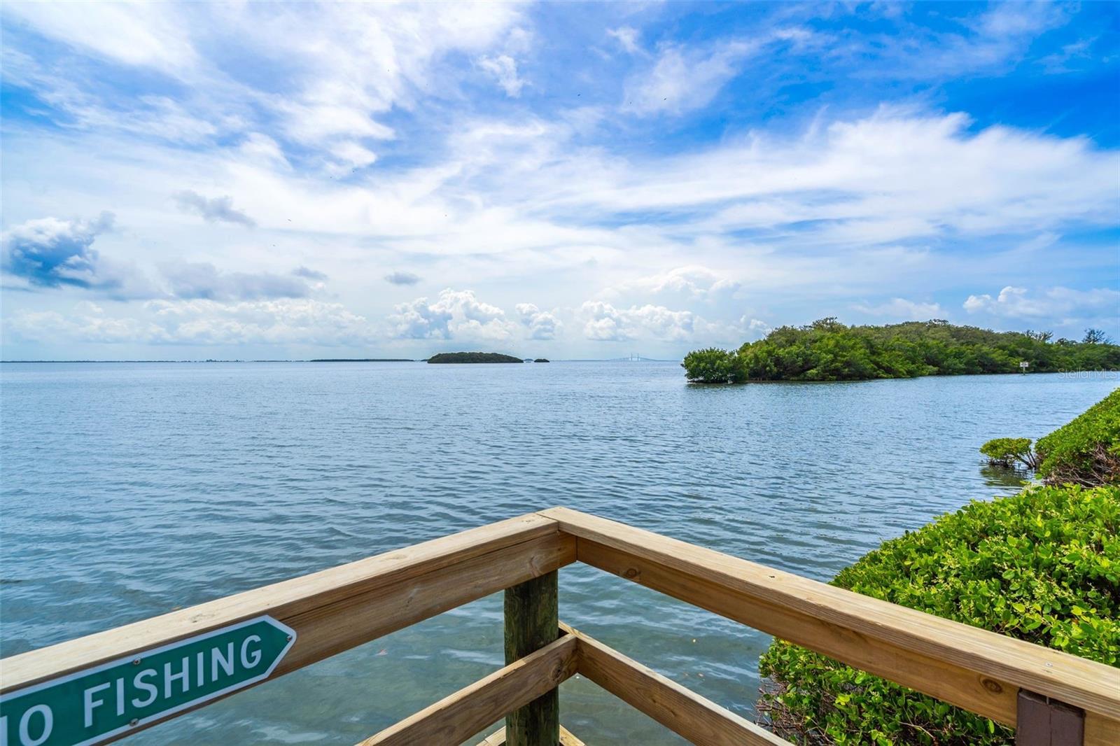 WANDER RESIDENCES OF TIERRA VERDE - Residential