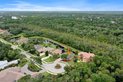 A home in PALM COAST