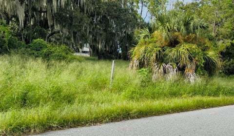Tiny photo for Bentley Road, Leesburg, FL 34748 (MLS # O6437044)