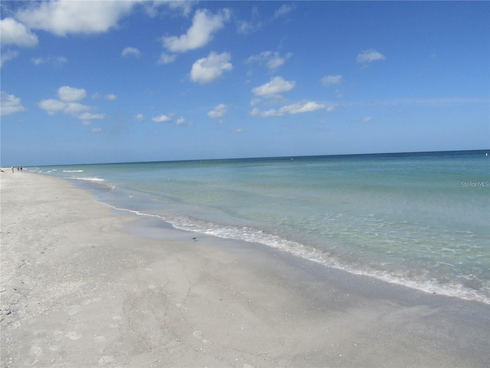 SAND KEY CONDO-SOUTH BEACH 1460 - Residential Lease