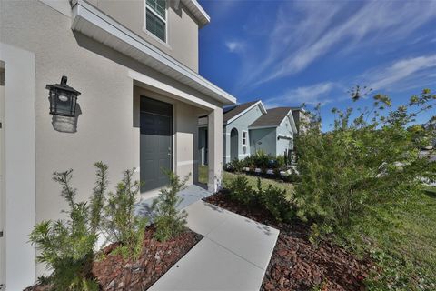 A home in WIMAUMA