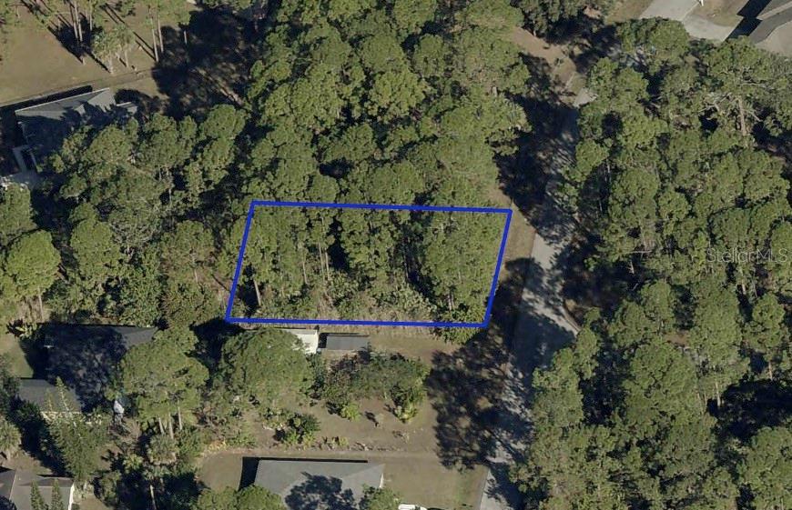 Photo of 526 Sea Crest Avenue SW, Palm Bay, FL 32908 (MLS # TB8558384)