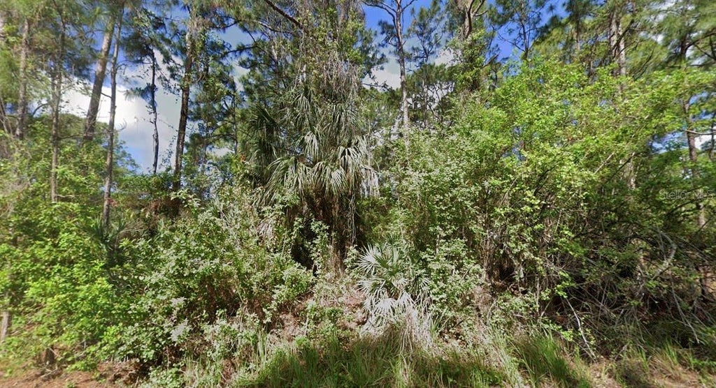 Photo of 526 Sea Crest Avenue SW, Palm Bay, FL 32908 (MLS # TB8558384)
