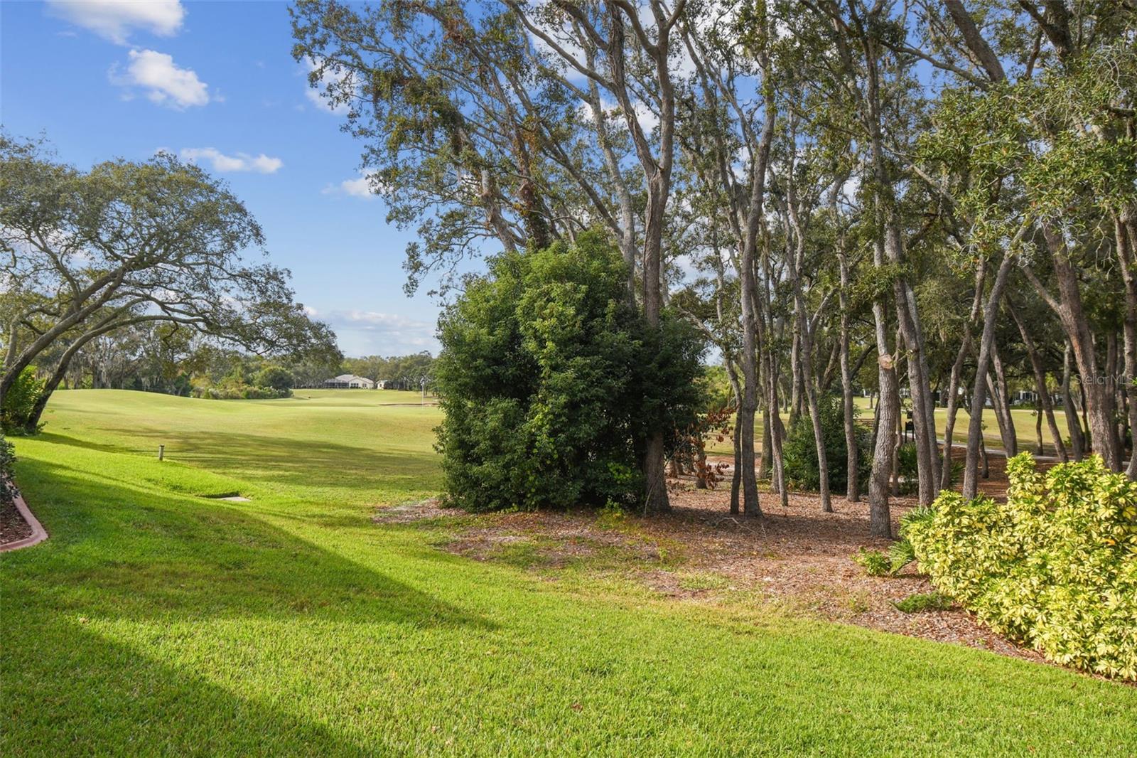 TIMBER PINES - Residential