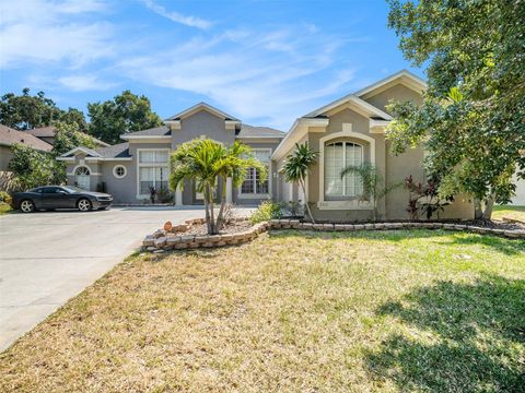 A home in VALRICO