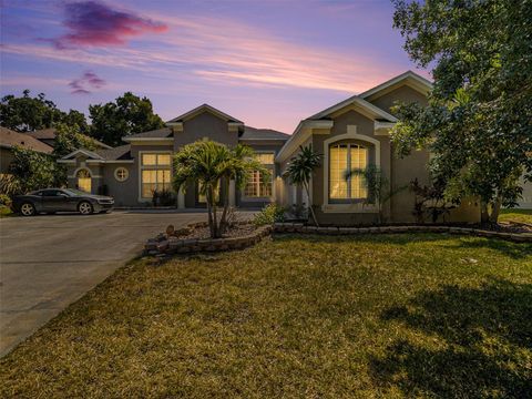 A home in VALRICO