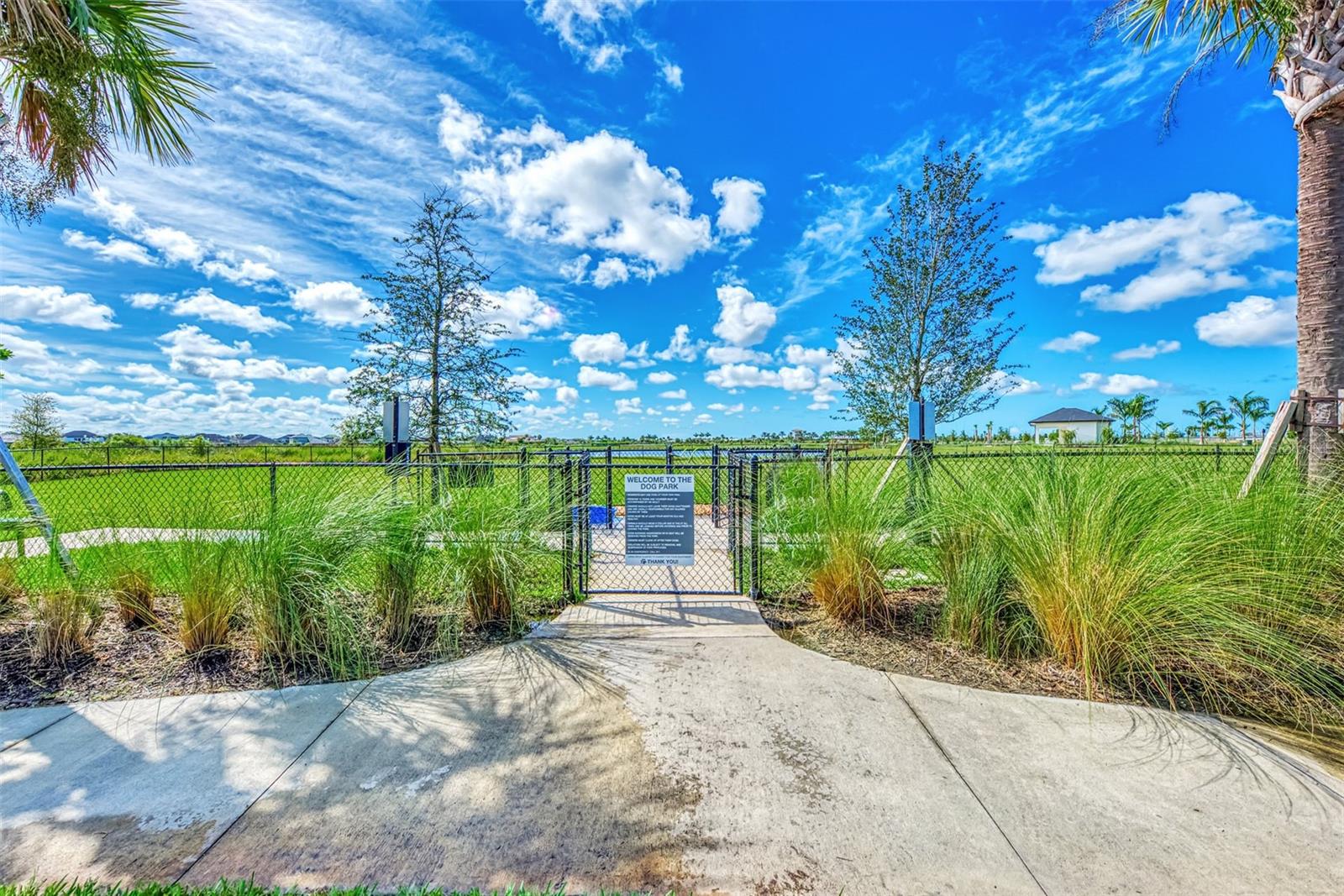 SKYE RANCH NBRHD 4 NORTH PHRAS - Residential