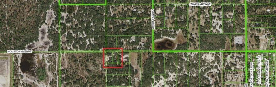 2.26-acre vacant land on Houston Ave.  2 parcels.  Zoned Agricultural.  Can build 2 residences.  Mobiles or Single-Family Homes.  Zoned for 3 hooved animals per parcel.  (Horses).  Up to 6 horse's total.  Flood zone X. (Not a flood zone).  Access is challenging.  Roads are sugar sand. Don't get stuck.  From East Road take Beagle Road West.  Turn left on Coyote, turn left on Houston.  Lot is on the corner of Houston and Elliot.   Look at the pictures, one shows an old map with a road called Elliot.  BRING A 4 WHEEL DRIVE> SUGAR SAND VERY SOFT>      Need financing?  Call Kimberly Linville GTE Financial for vacant land financing. Check out the video discussion of this property.