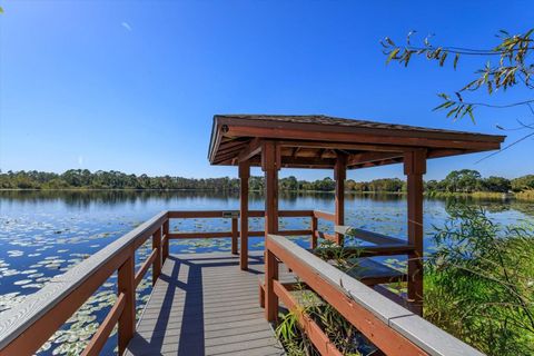 A home in ORLANDO