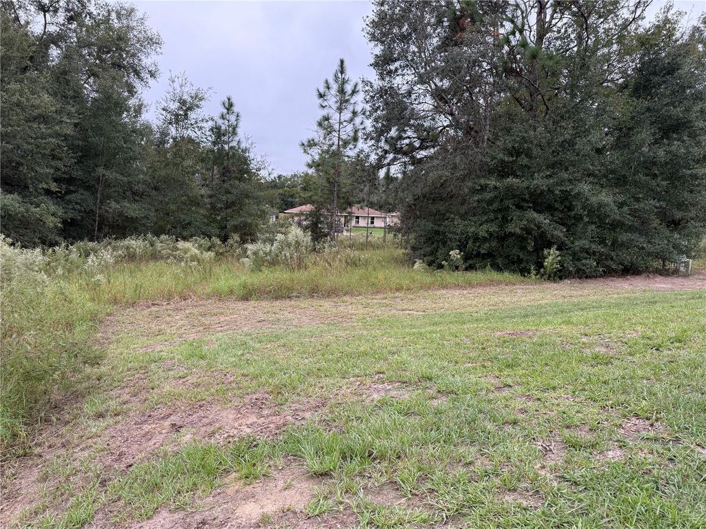 Photo of 14390 SW 30 Place, Ocala, FL 34481 (MLS # OM712622)