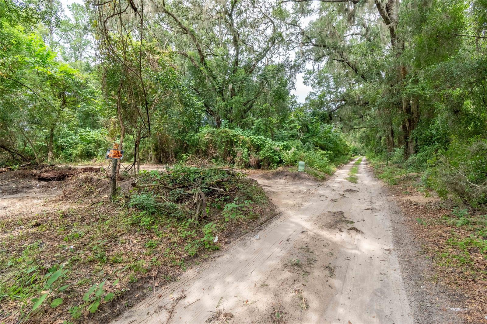 Over half an Acre Vacant lot. Build your own dream home in this quiet area in Reddick FL. Reddick is located between Gainsville and Ocala. Centrally located in Florida where plenty of outdoor adventures await you. Around Reddick you can find many trails, freshwater springs, and lakes.