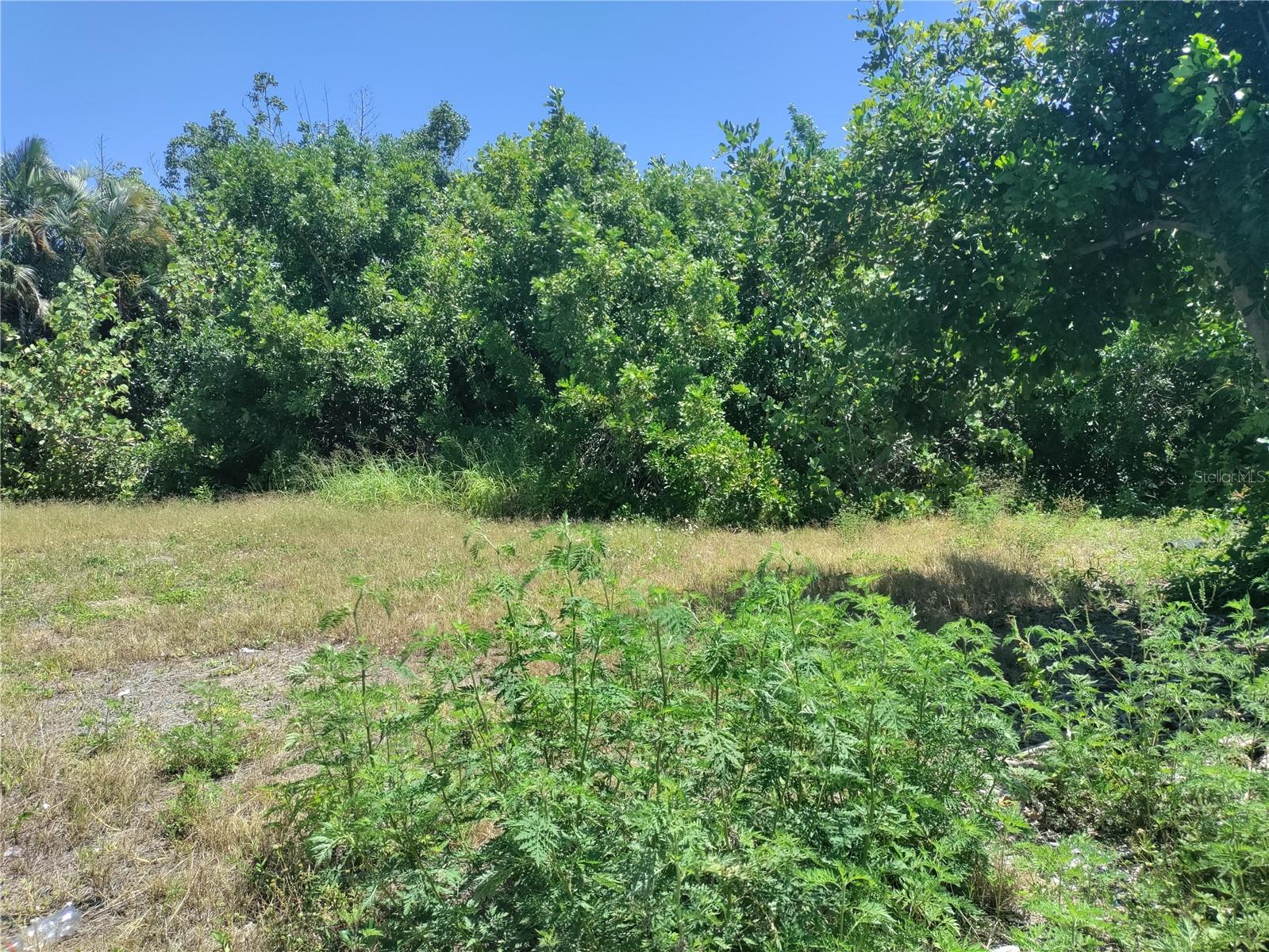 PORT CHARLOTTE SEC 025 - Residential