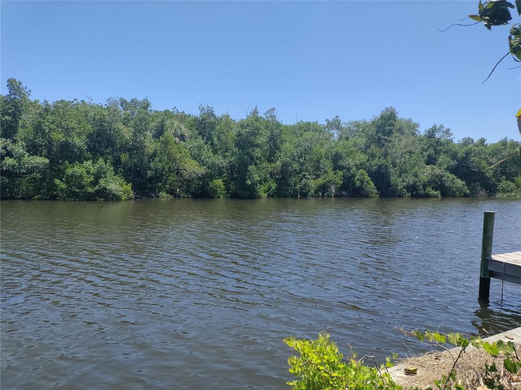 Photo of 4134 Gardner Drive, Port Charlotte, FL 33952 (MLS # TB8506688)