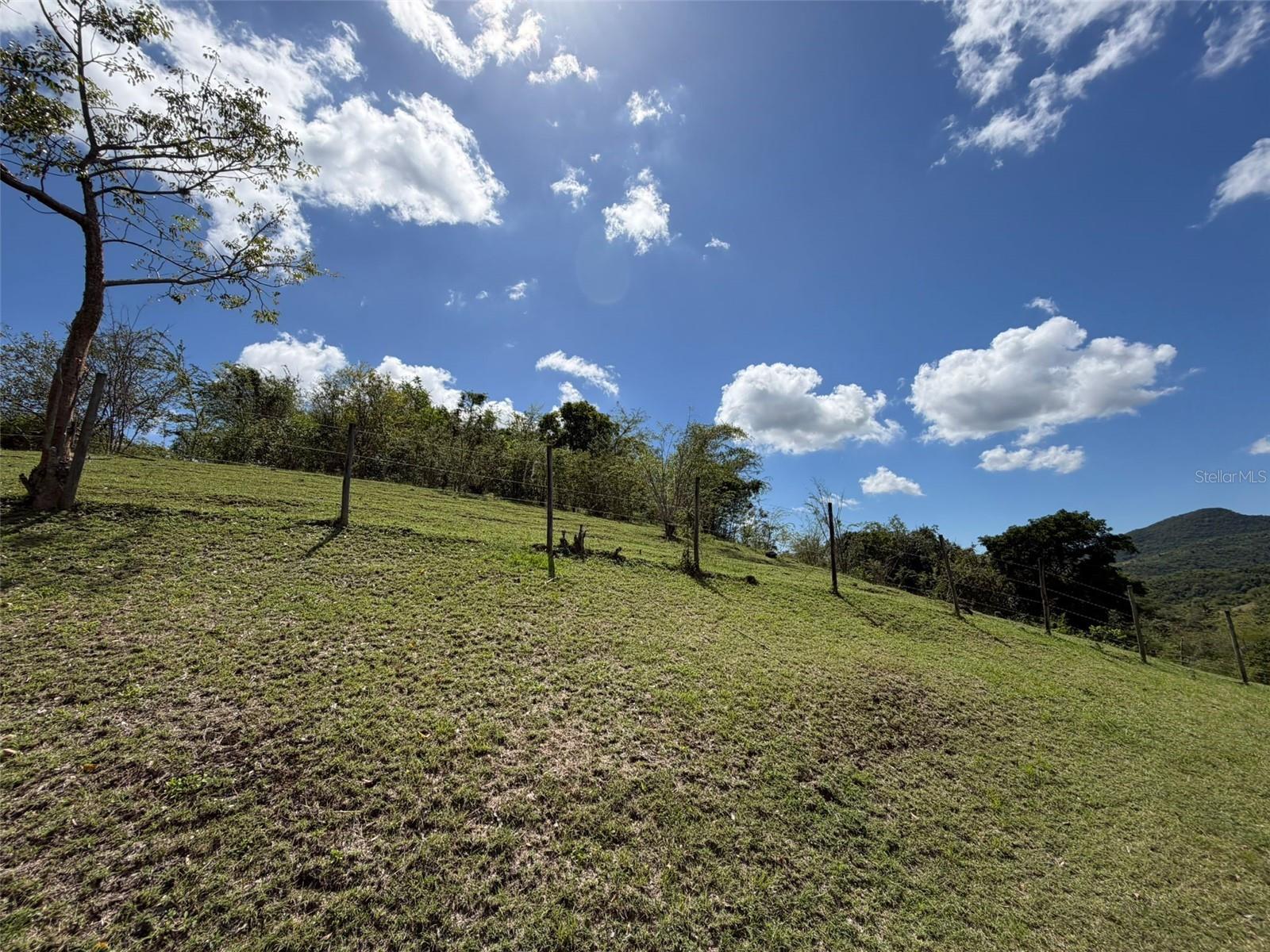 BO SANTA CATALINA, CARR 150 KM.HM 14, COAMO, PR 00 - Residential