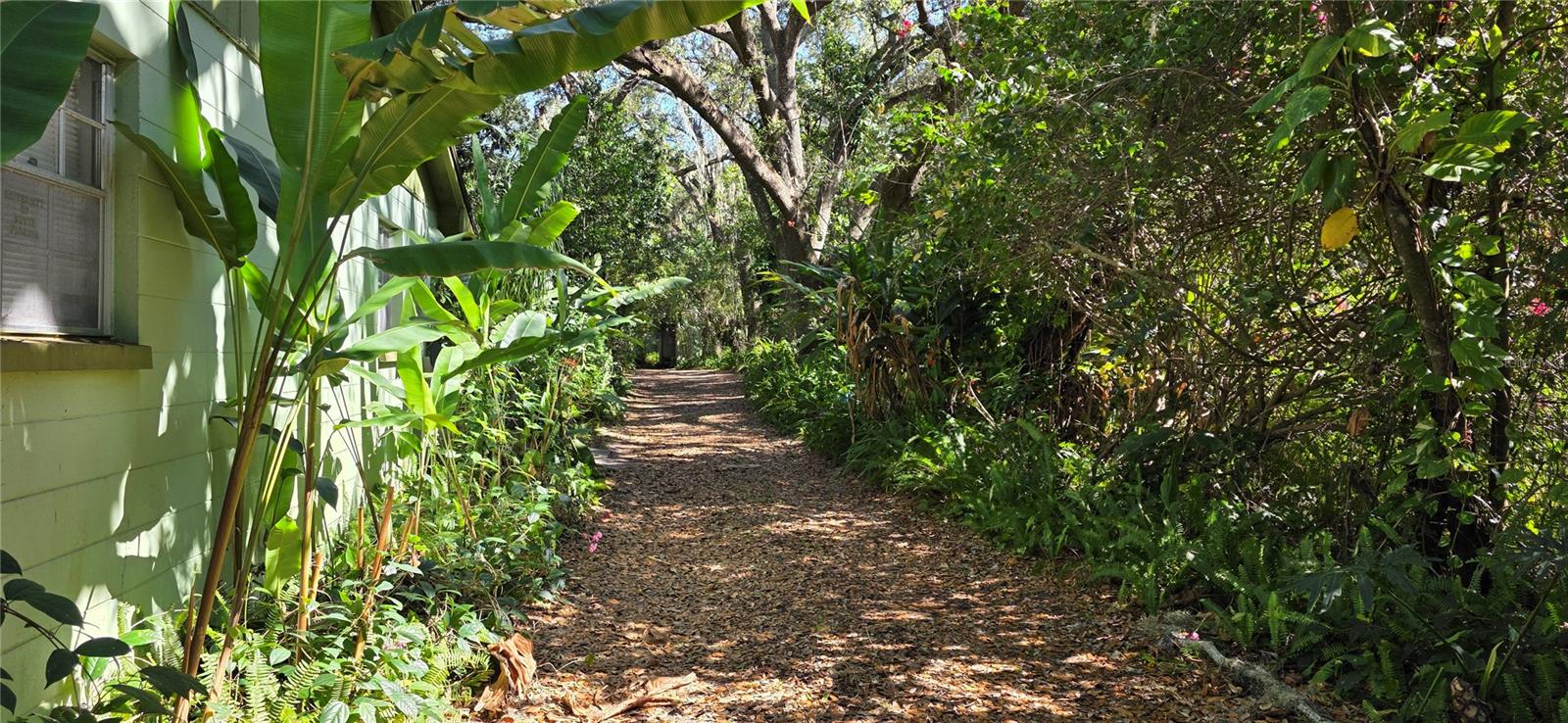 UNPLATTED - Residential