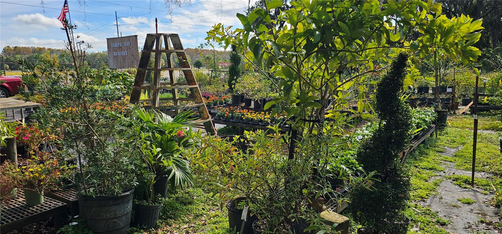 UNPLATTED - Residential