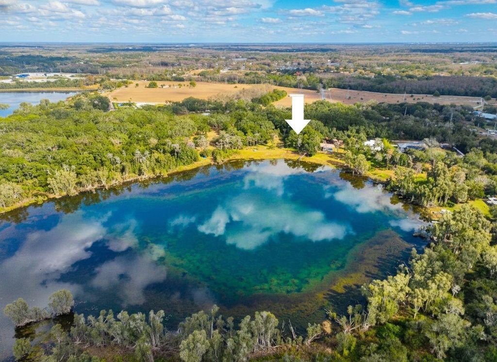 Photo of 9906 Gunn Highway, Odessa, FL 33556 (MLS # TB8463972)