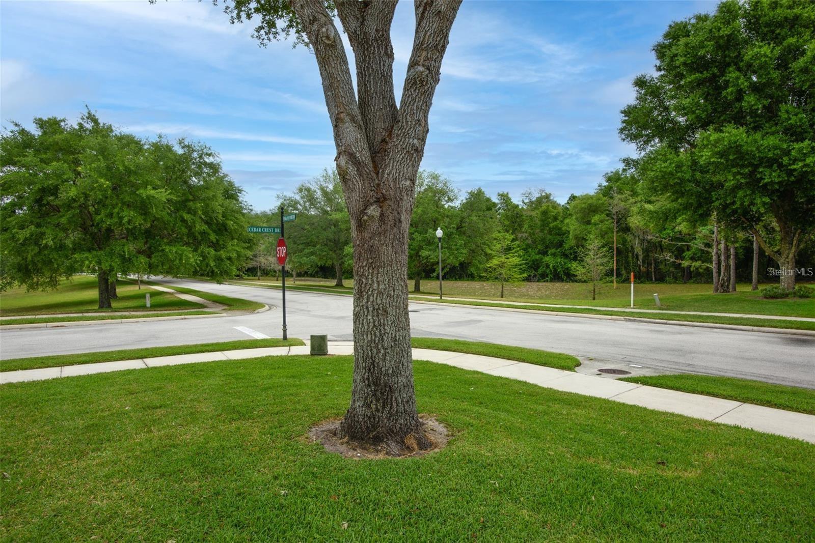 WEKIVA RUN PH I 01 - Residential