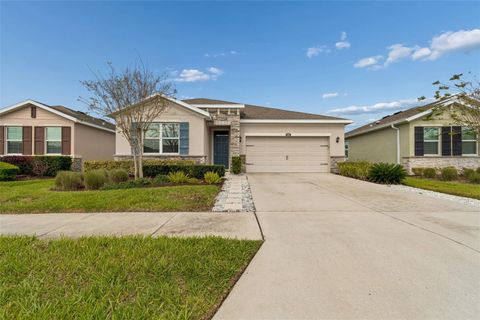 Photo of 1135 Pipestone Place, Wesley Chapel, FL 33543 (MLS # TB8490424)