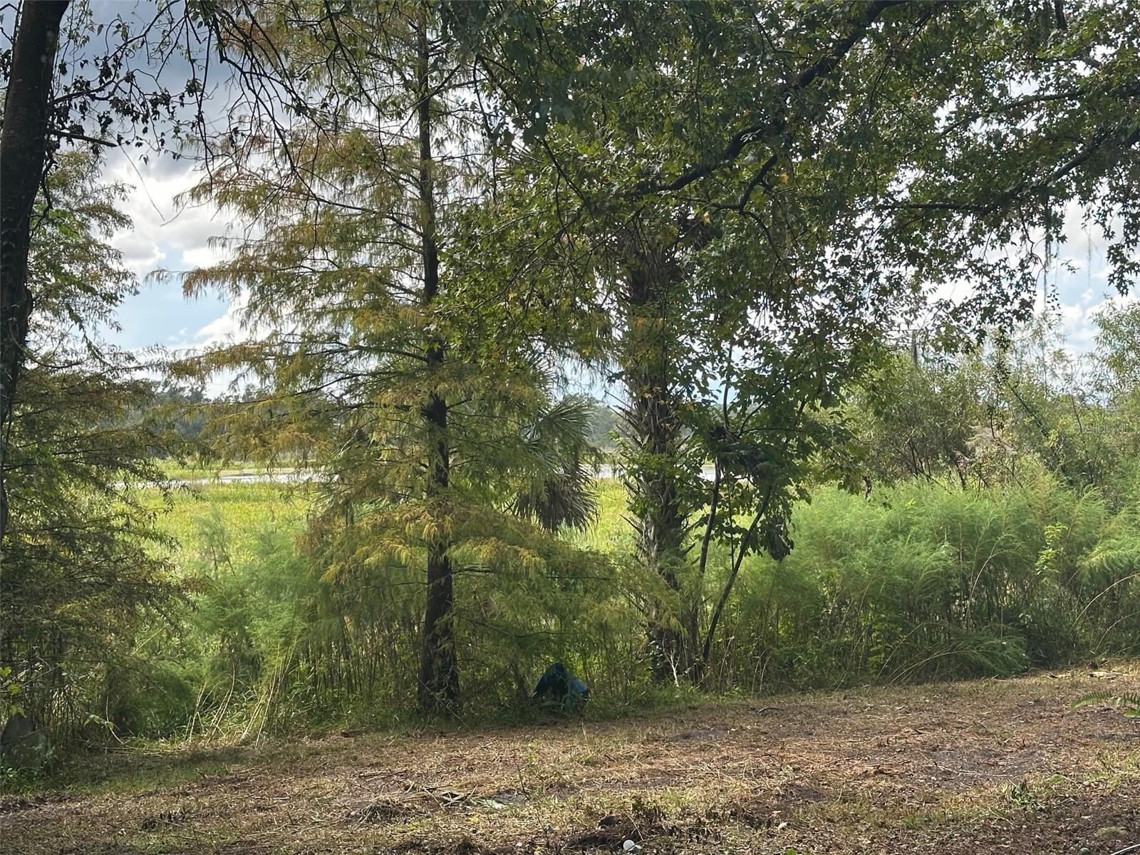 6661 E TURNER CAMP ROAD