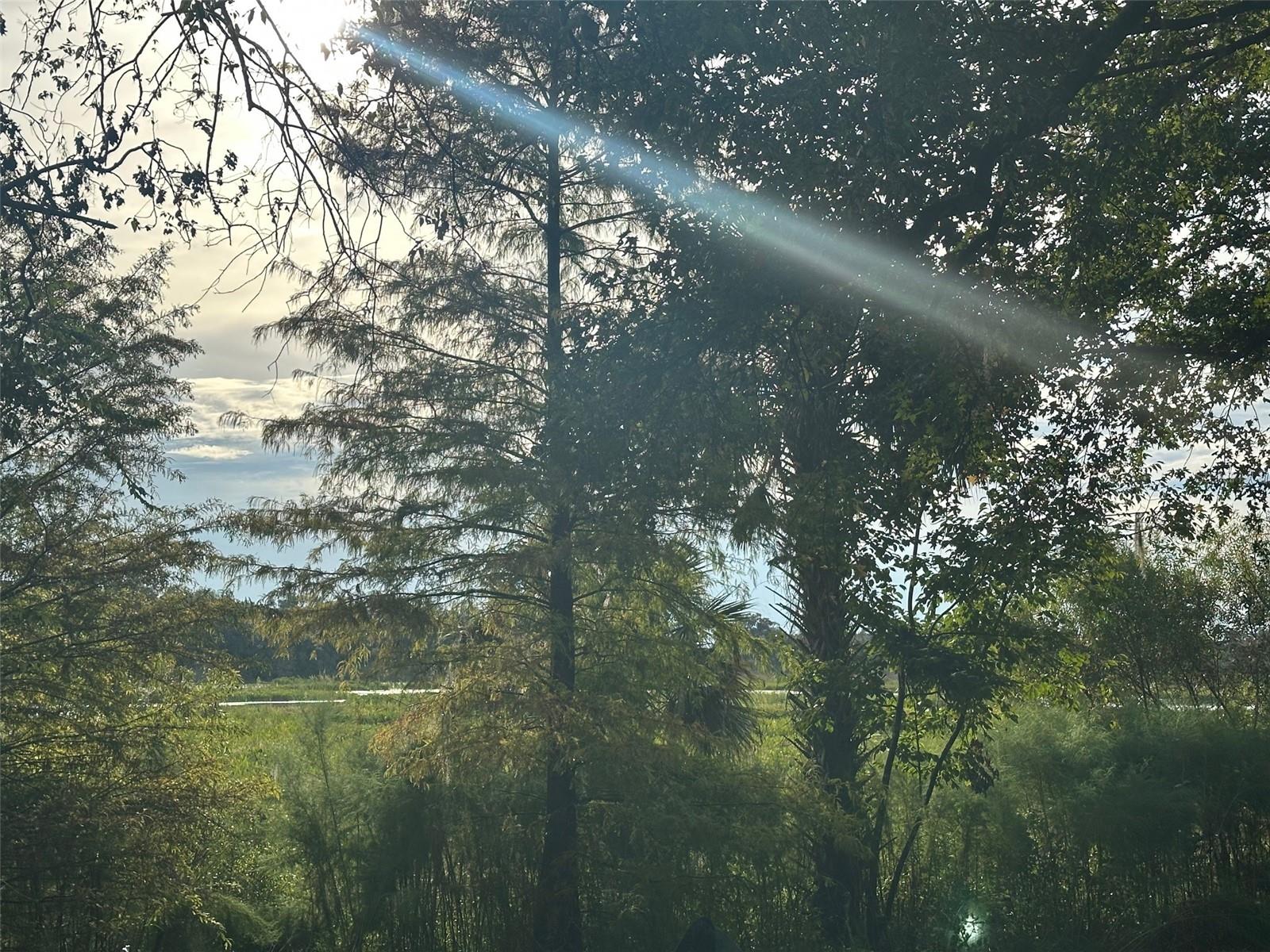 6661 E TURNER CAMP ROAD