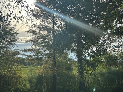 Tiny photo for 6661 E Turner Camp Road, Inverness, FL 34453 (MLS # OM710423)