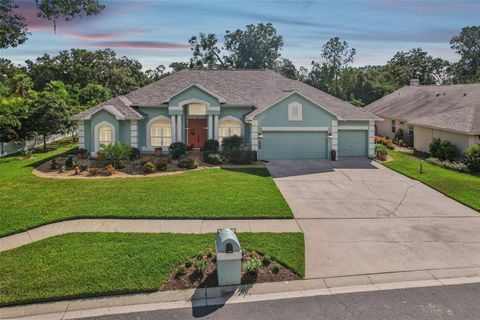 4703 STONE HOLLOW COURT VALRICO FL 33596