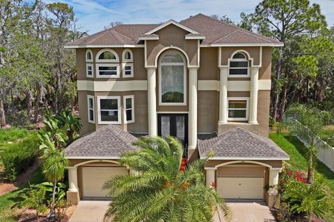 7340 BRIGHTWATERS COURT NEW PORT RICHEY FL 34652
