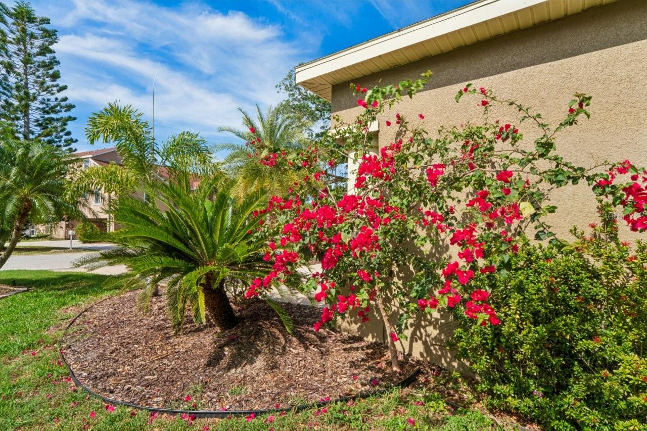 OYSTER BAYOU - Residential