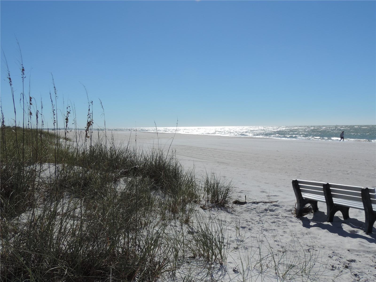 CONEY ISLAND - Residential Lease