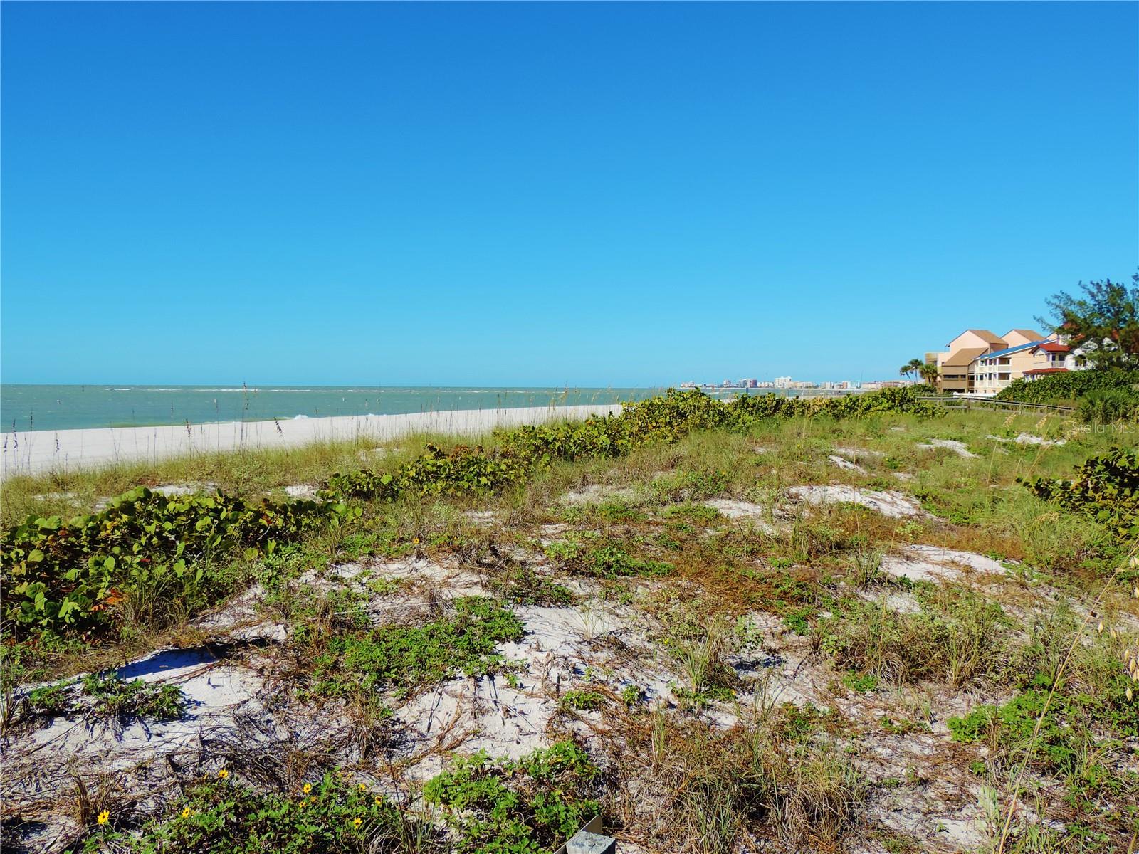 CONEY ISLAND - Residential Lease