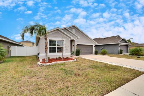 A home in WIMAUMA