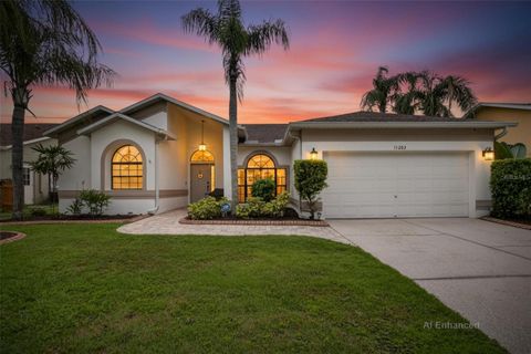 Photo of 11203 Longbrooke Drive, Riverview, FL 33579 (MLS # TB8514351)