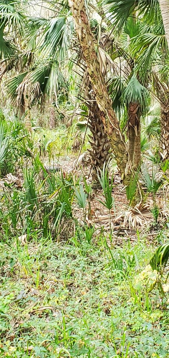 TIOTIE BEACH ESTATES - Land