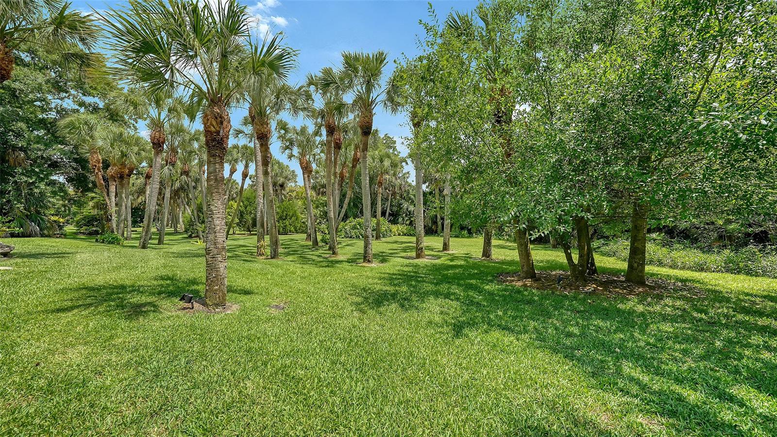 PRESERVE AT MISSION VALLEY - Residential