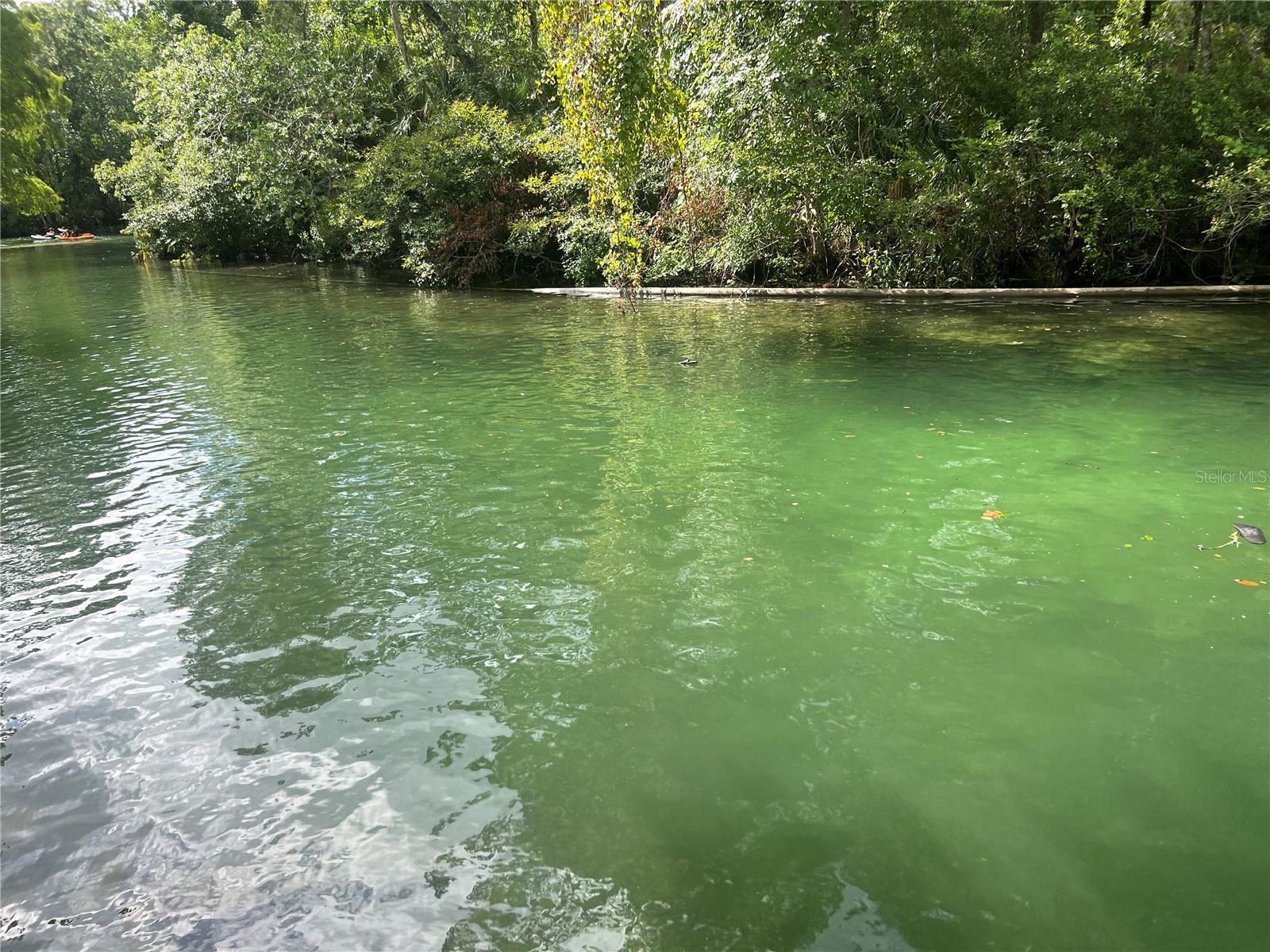 WEEKI WACHEE GARDENS - Land