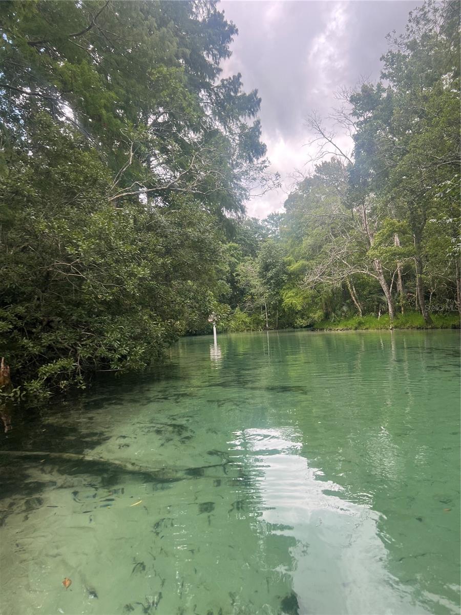 WEEKI WACHEE GARDENS - Land