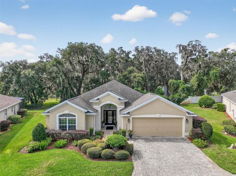 Photo of 10063 Lake Miona Way, Oxford, FL 34484 (MLS # G5102444)