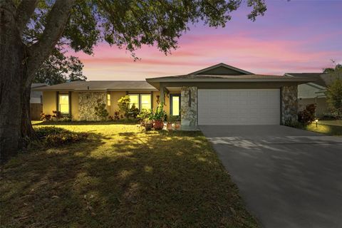 Photo of 5816 Silver Moon Avenue, Tampa, FL 33625 (MLS # TB8436445)
