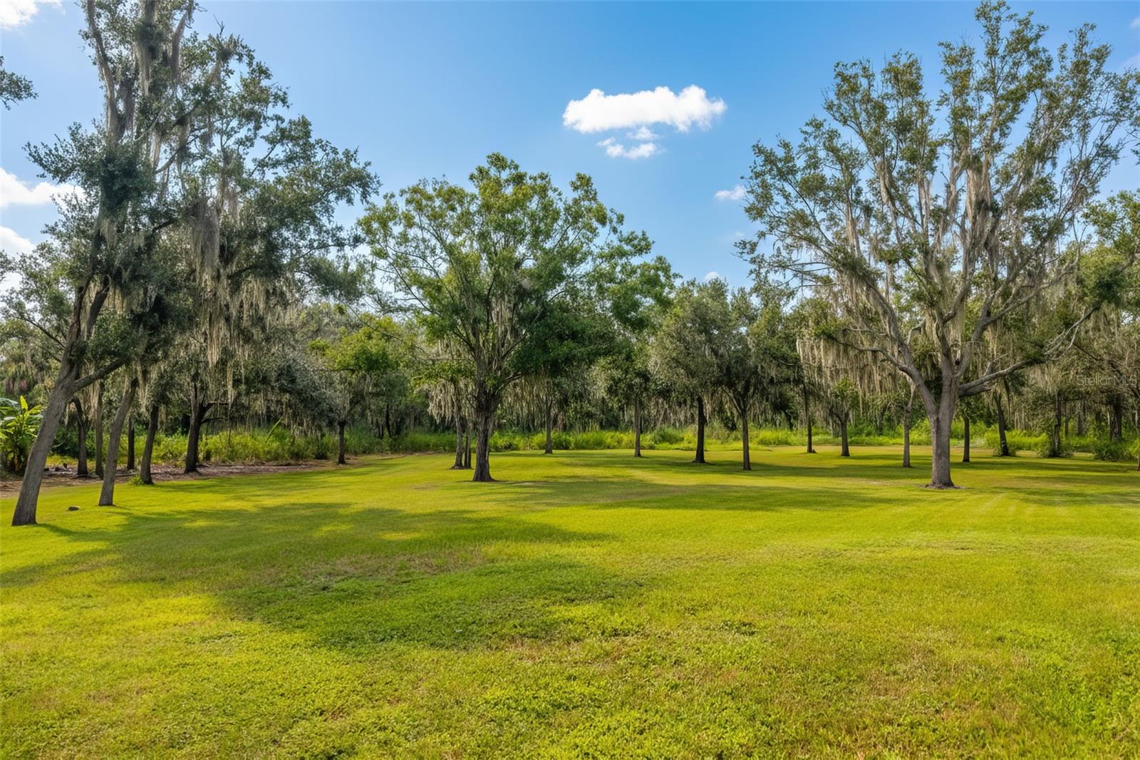 ACREAGE - Residential