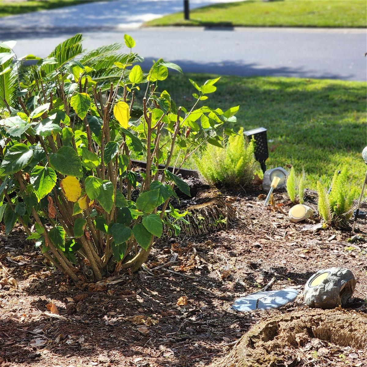 RIVERGATE PH 02 - Residential