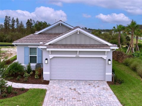 A home in WESLEY CHAPEL