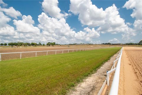 Tiny photo for 3670 SE 148th Terrace, Morriston, FL 32668 (MLS # OM678297)