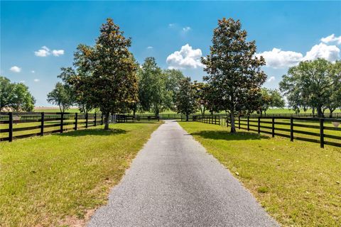 Tiny photo for 3670 SE 148th Terrace, Morriston, FL 32668 (MLS # OM678297)