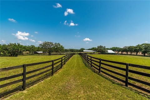 Tiny photo for 3670 SE 148th Terrace, Morriston, FL 32668 (MLS # OM678297)