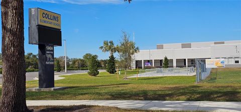 A home in RIVERVIEW