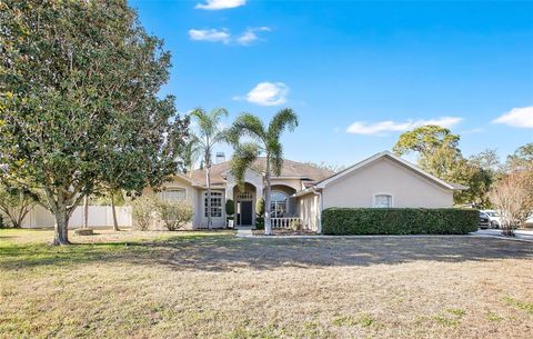 10003 COUNTRY CARRIAGE CIRCLE RIVERVIEW FL 33569