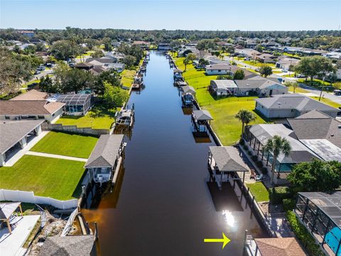 A home in PALM COAST